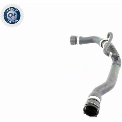 Q+, calidad de primer equipo