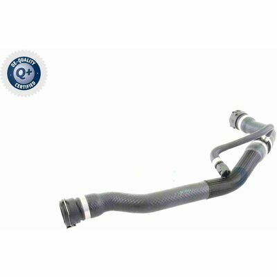 Q+, calidad de primer equipo