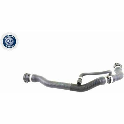 Q+, calidad de primer equipo