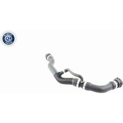 Q+, calidad de primer equipo