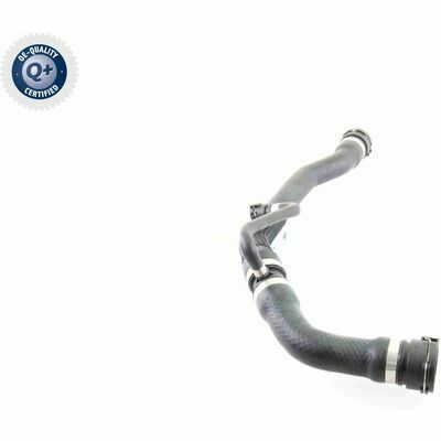 Q+, calidad de primer equipo