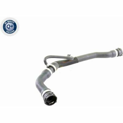 Q+, calidad de primer equipo