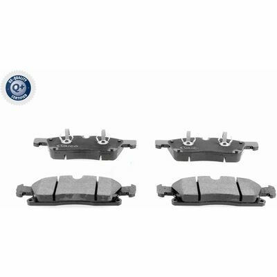 Q+,  Première Monte