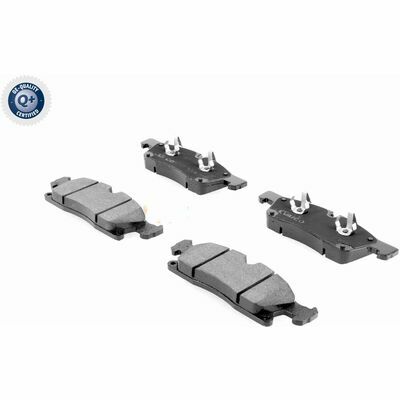 Q+,  Première Monte