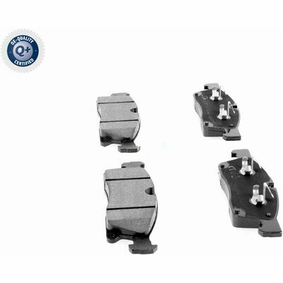 Q+,  Première Monte