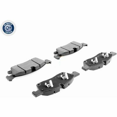 Q+,  Première Monte