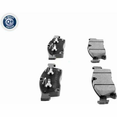 Q+,  Première Monte