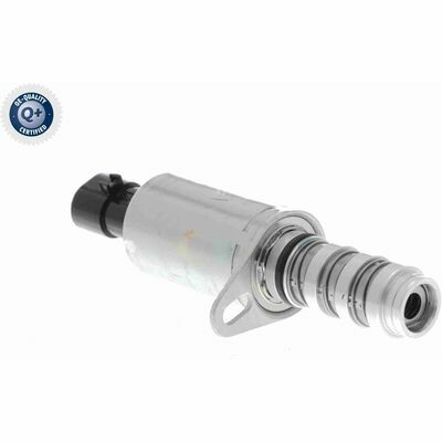 Q+ qualità di primo fornitore