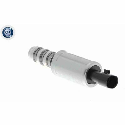 Q+ qualità di primo fornitore