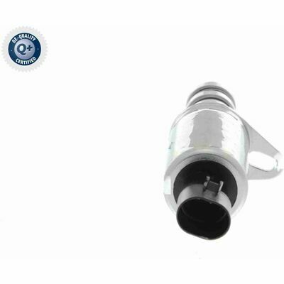 Q+ qualità di primo fornitore