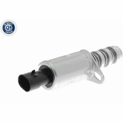 Q+ qualità di primo fornitore