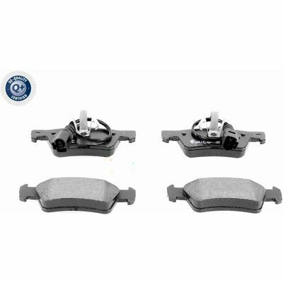 Q+,  Première Monte