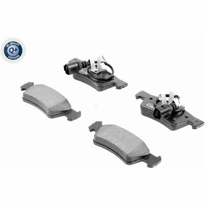 Q+,  Première Monte