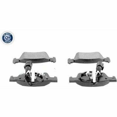 Q+,  Première Monte