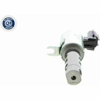 Q+ qualità di primo fornitore