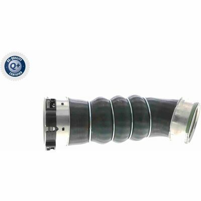 Q+ qualità di primo fornitore