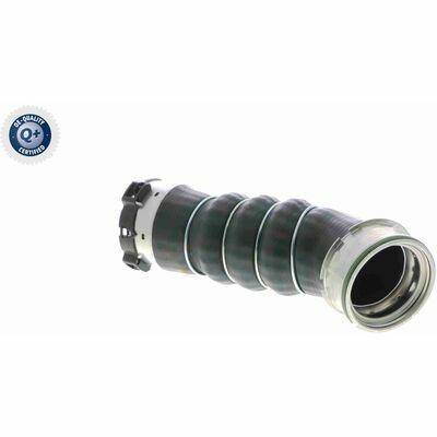 Q+ qualità di primo fornitore