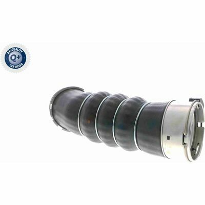 Q+ qualità di primo fornitore