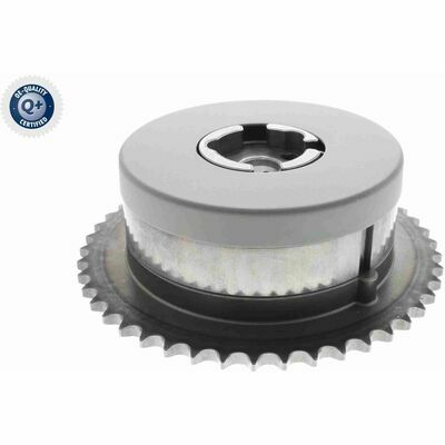 Q+,  Première Monte