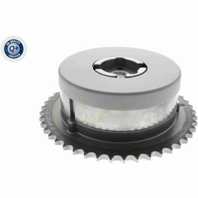 Q+,  Première Monte