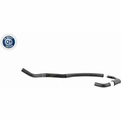 Q+,  Première Monte