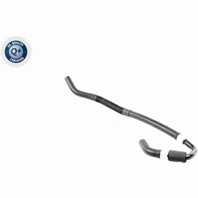 Q+,  Première Monte