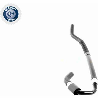 Q+,  Première Monte