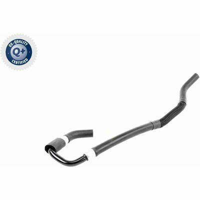 Q+,  Première Monte