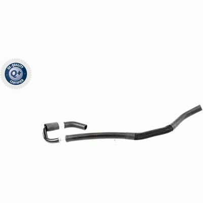 Q+,  Première Monte