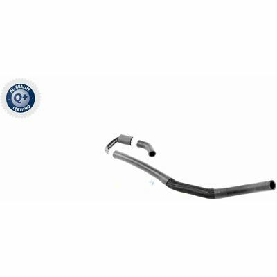 Q+,  Première Monte