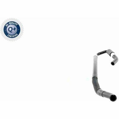 Q+,  Première Monte