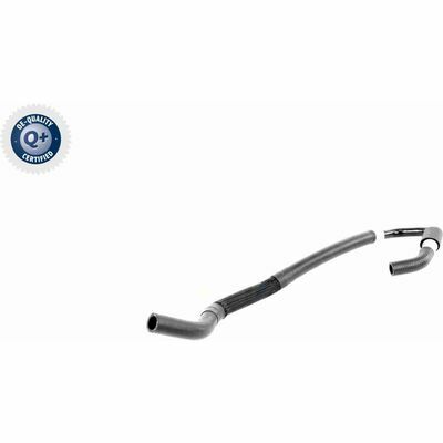 Q+,  Première Monte