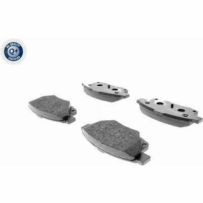 Q+,  Première Monte