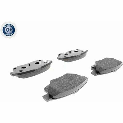 Q+,  Première Monte