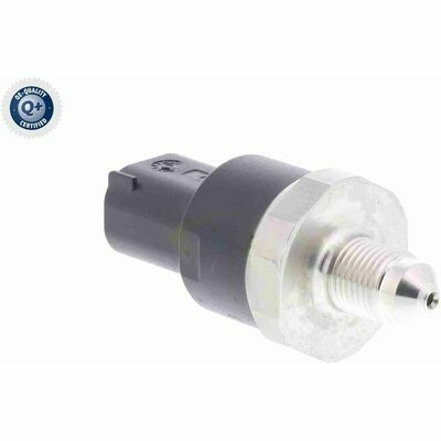 Q+,  Première Monte