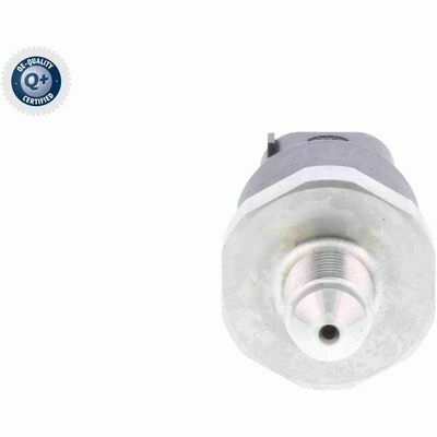 Q+,  Première Monte