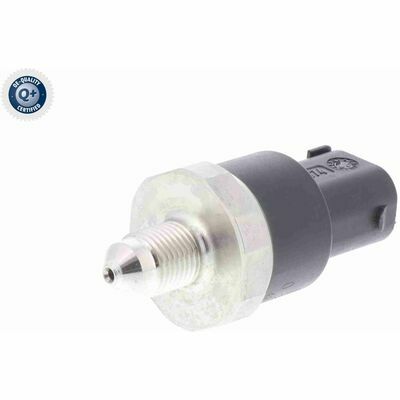 Q+,  Première Monte