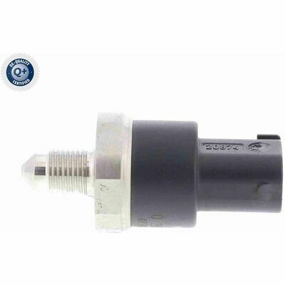 Q+,  Première Monte