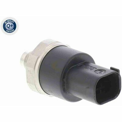 Q+,  Première Monte