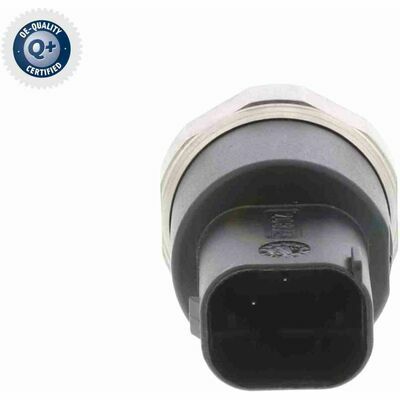 Q+,  Première Monte