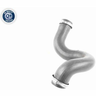 Q+,  Première Monte