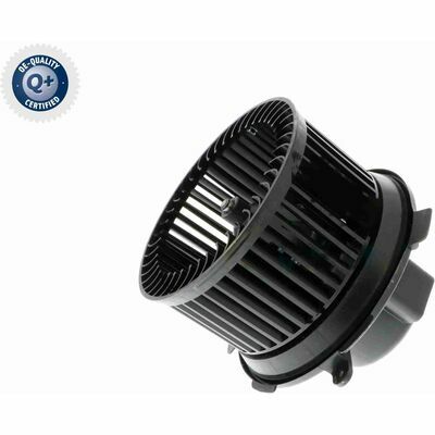 Q+ qualità di primo fornitore