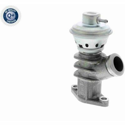 Q+,  Première Monte