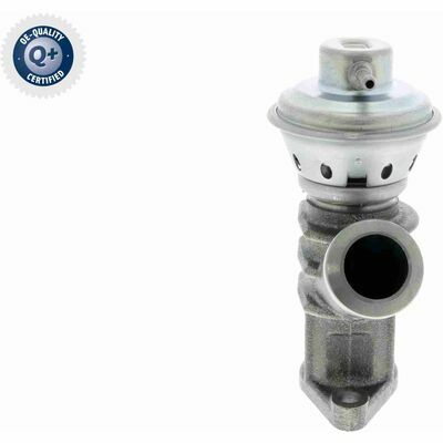 Q+,  Première Monte