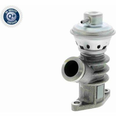 Q+,  Première Monte