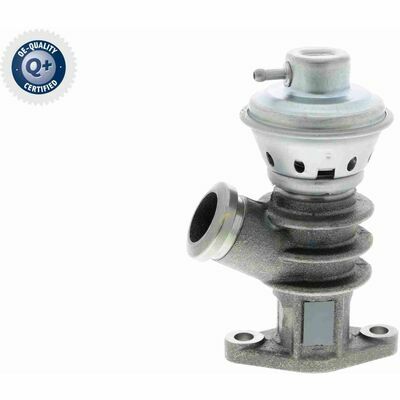 Q+,  Première Monte