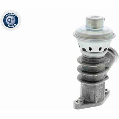 Q+,  Première Monte