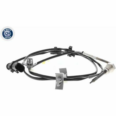 Q+,  Première Monte