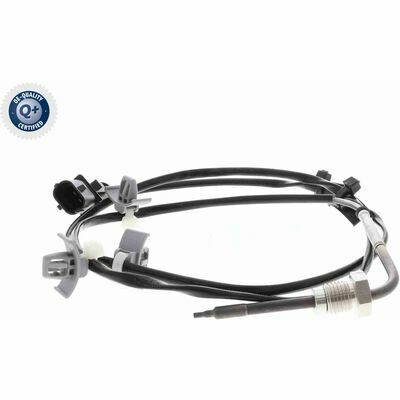 Q+,  Première Monte