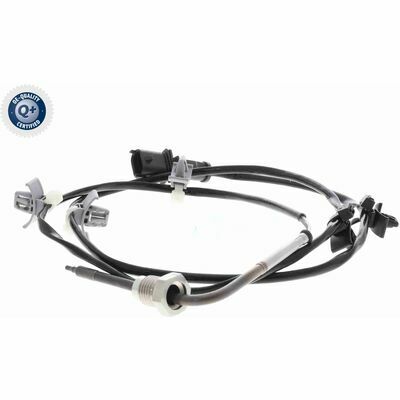 Q+,  Première Monte